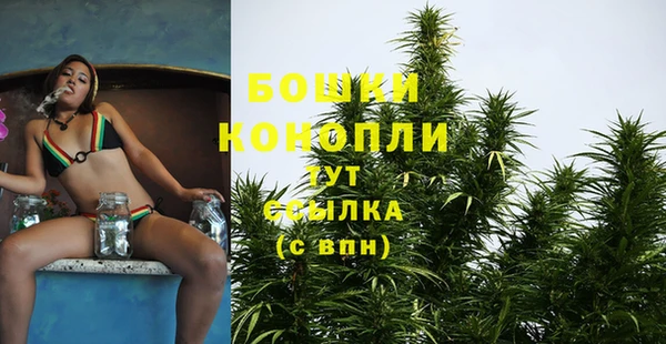 Альфа ПВП Аркадак