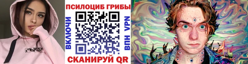Псилоцибиновые грибы Cubensis  Фатеж 